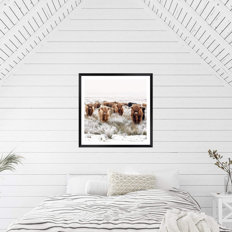 Highland Cattle Herd | Square-The Paper Tree-animal,Art Print,art prints,Artwork,boho,framed,highland,highland bull,highland cattle,highland cow,neutral,premium art print,square,tan,wall art,Wall_Art,Wall_Art_Prints