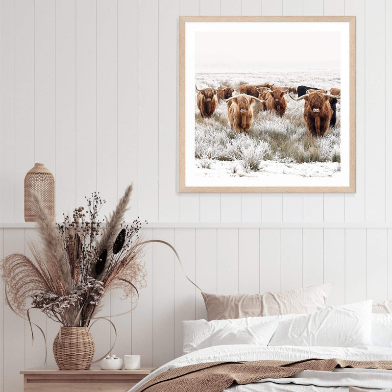 Highland Cattle Herd | Square-The Paper Tree-animal,Art Print,art prints,Artwork,boho,framed,highland,highland bull,highland cattle,highland cow,neutral,premium art print,square,tan,wall art,Wall_Art,Wall_Art_Prints