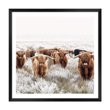 Highland Cattle Herd | Square-The Paper Tree-animal,Art Print,art prints,Artwork,boho,framed,highland,highland bull,highland cattle,highland cow,neutral,premium art print,square,tan,wall art,Wall_Art,Wall_Art_Prints