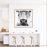 Highland Cow Portrait II | Square-The Paper Tree-animal,Art Print,art prints,Artwork,black & white,boho,framed,highland,highland bull,highland cattle,highland cow,monochrome,premium art print,square,wall art,Wall_Art,Wall_Art_Prints