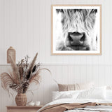 Highland Cow Portrait II | Square-The Paper Tree-animal,Art Print,art prints,Artwork,black & white,boho,framed,highland,highland bull,highland cattle,highland cow,monochrome,premium art print,square,wall art,Wall_Art,Wall_Art_Prints