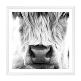 Highland Cow Portrait II | Square-The Paper Tree-animal,Art Print,art prints,Artwork,black & white,boho,framed,highland,highland bull,highland cattle,highland cow,monochrome,premium art print,square,wall art,Wall_Art,Wall_Art_Prints