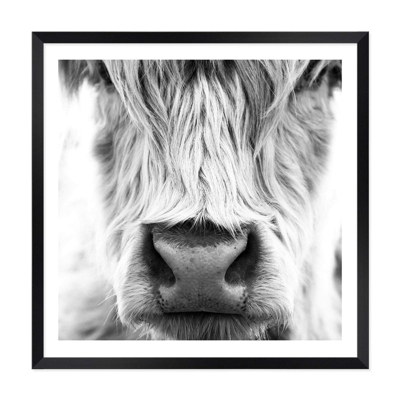 Highland Cow Portrait II | Square-The Paper Tree-animal,Art Print,art prints,Artwork,black & white,boho,framed,highland,highland bull,highland cattle,highland cow,monochrome,premium art print,square,wall art,Wall_Art,Wall_Art_Prints