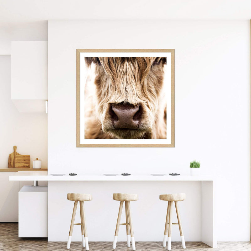 Highland Cow Portrait | Square-The Paper Tree-animal,Art Print,art prints,Artwork,boho,framed,highland,highland bull,highland cattle,highland cow,neutral,premium art print,square,tan,wall art,Wall_Art,Wall_Art_Prints