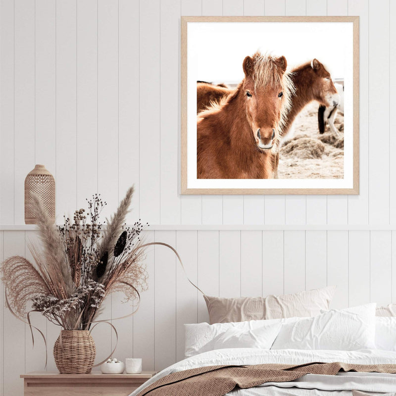 Wild Horses Square-The Paper Tree-animal,Art Print,art prints,Artwork,boho,framed,horse,horses,premium art print,square,stallion,TAN,wall art,Wall_Art,Wall_Art_Prints,wild horses