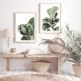 Set of 2 - Fig Leaf | Fiddle Leaf Fig-The Paper Tree-Artwork,australian native,botanical,fiddle leaf fig,fig,fig leaf,fig leaves,Floral,gift,green,hamptons,leaf,leaves,portrait,premium art print,wall art,Wall_Art,Wall_Art_Prints