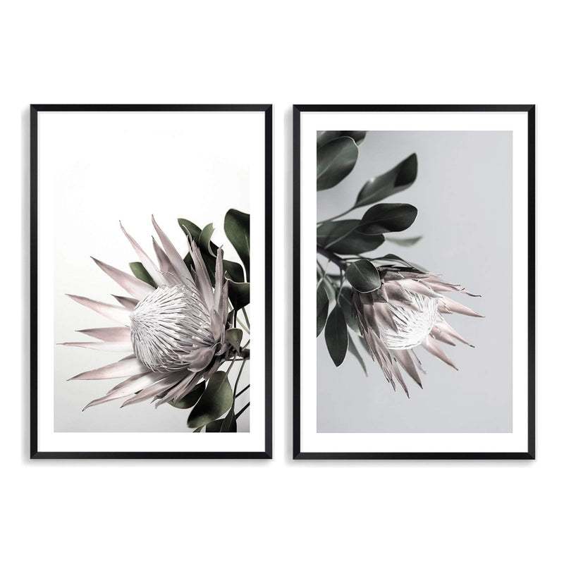 Set of 2 - Blush Protea Flowers-The Paper Tree-Artwork,blush,Floral,floral print,flower,flower print,flower print sets,flowers,hamptons,pastel,pastel pink,peonies flower,pink,pink flower,pink protea,pink protea flower,portrait,premium art print,protea,protea artwork,protea flower,protea flowers,protea print,wall art,Wall_Art,Wall_Art_Prints,wild flower,wild flowers